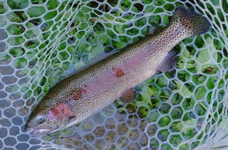 何かを掴めたのかな ～フィッシングパーク高島の泉～